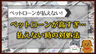 ペットローンが高すぎて払えない時の対処法