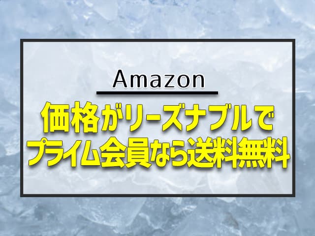 価格がリーズナブルでプライム会員なら送料無料